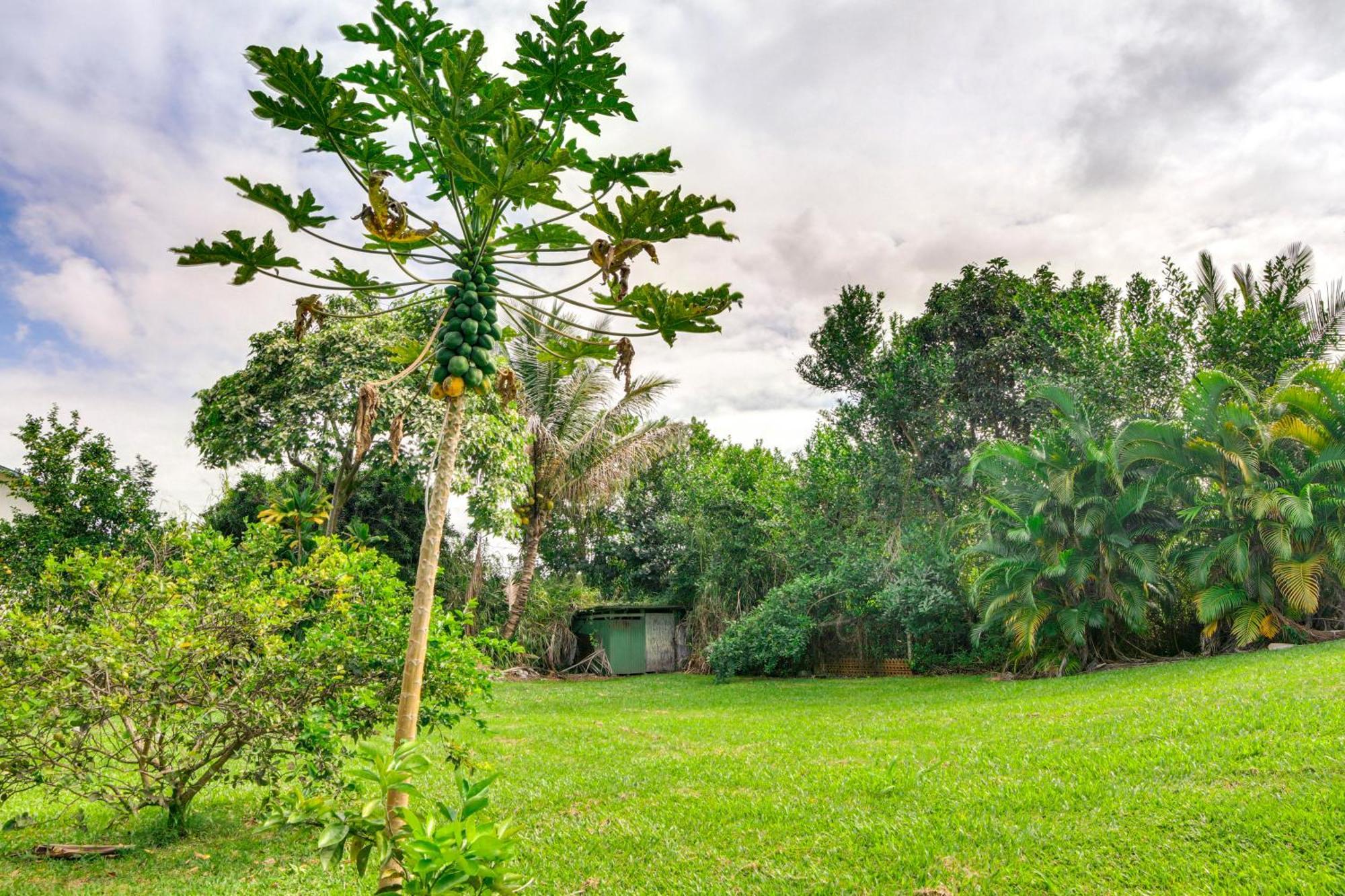 Charming Historic Hilo House Minutes To Beach! Exterior photo